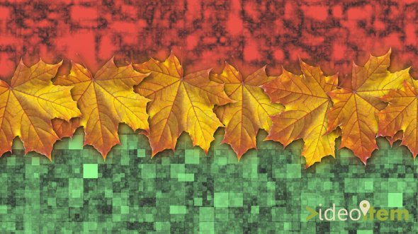 "1 �������� v.1.0" Project After Effects (Videoitem)